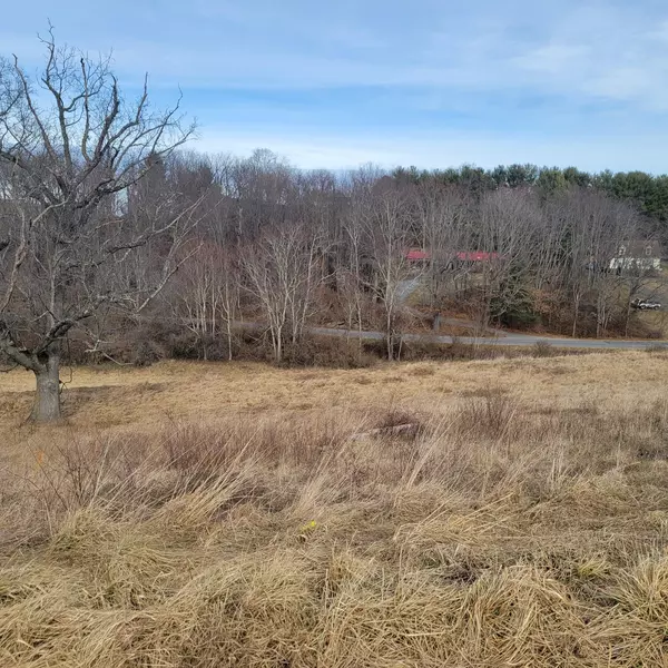 5250 Country Meadow DR, Dublin, VA 24084