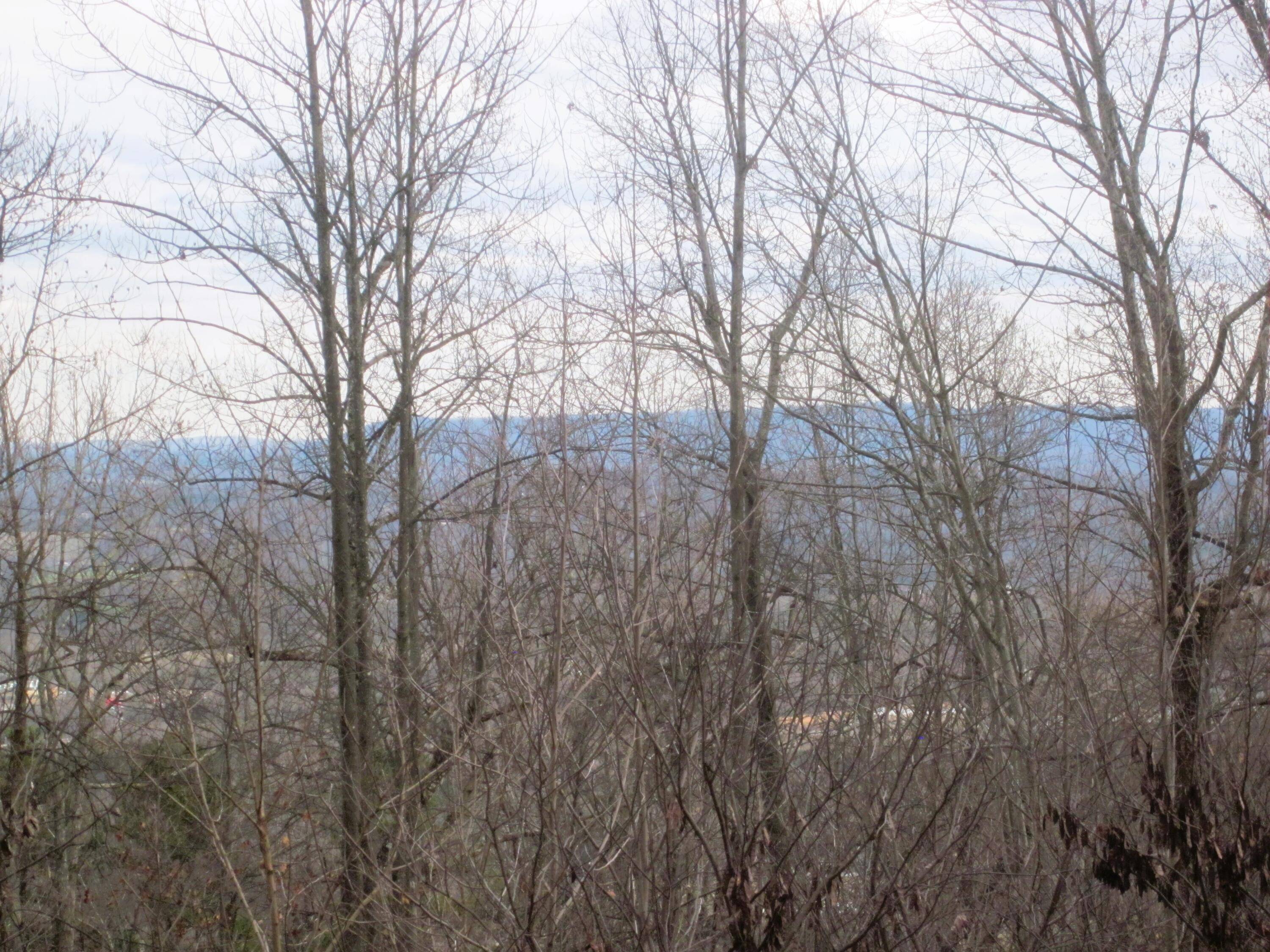 LT 38 SUMMIT DR, Rocky Mount, VA 24151