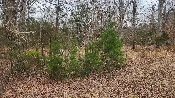 Bedford, VA 24523,Tract A Forest RD
