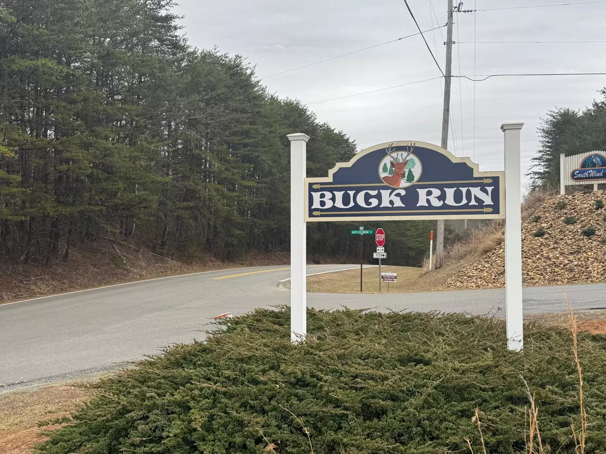 Moneta, VA 24121,Lot 2 & 3 Buck Run DR