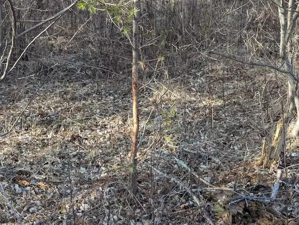 Indian Valley, VA 24105,TBD Indian Valley PO RD