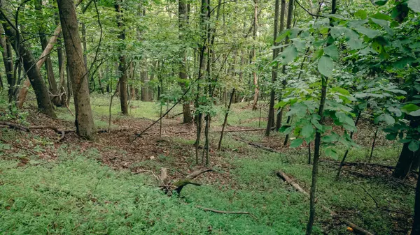 Boones Mill, VA 24065,0 Crowell Gap RD