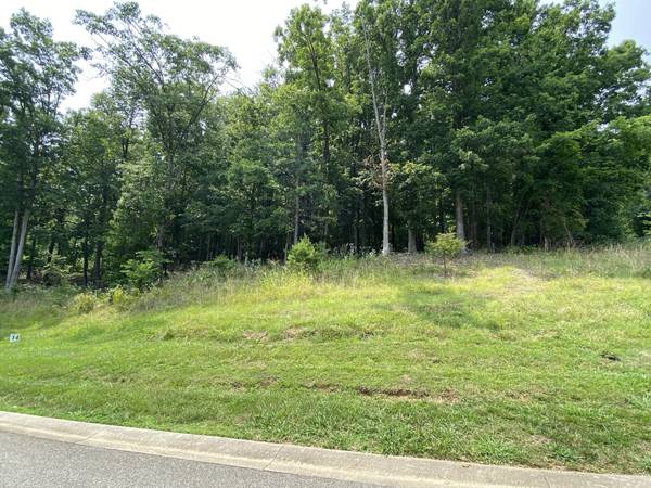 LOT 14 SUMMIT DR, Rocky Mount, VA 24151