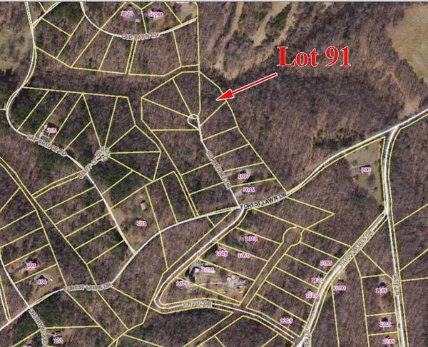 Lot 91 Summerset DR, Moneta, VA 24121