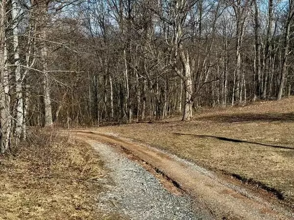 Hiwassee, VA 24347,5588 Nunn Hollow RD