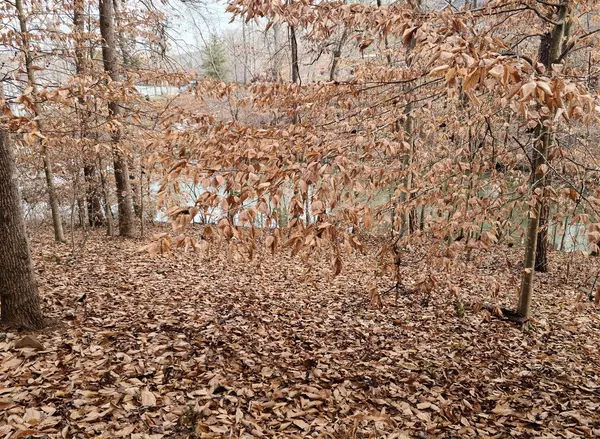 Lynch Station, VA 24571,Lot 289 Waterway CT