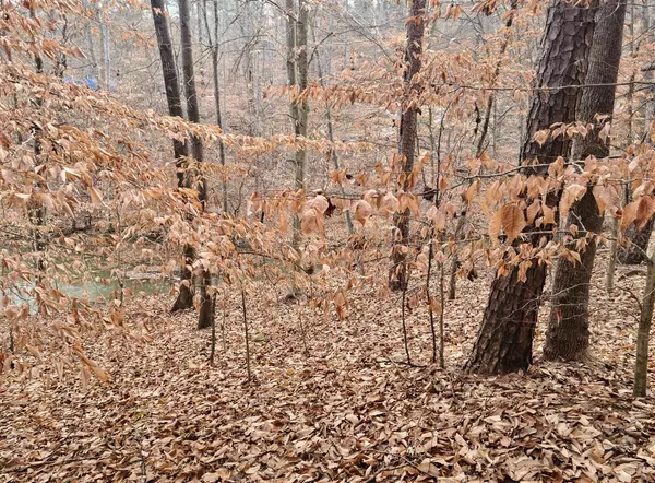 Lynch Station, VA 24571,Lot 289 Waterway CT