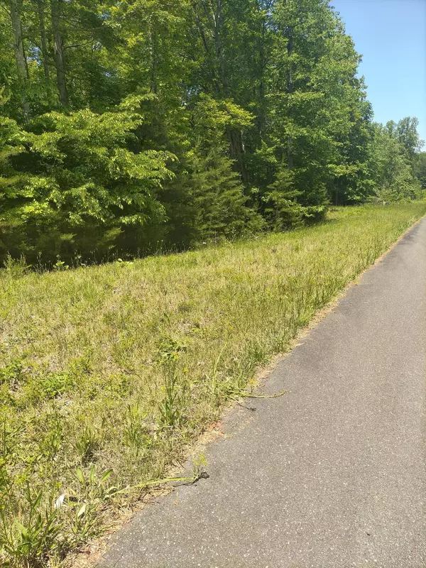 Penhook, VA 24137,Lot 15 Penhook Pointe CIR