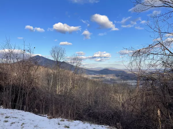 Thaxton, VA 24174,4061 Taylor Mountain RD