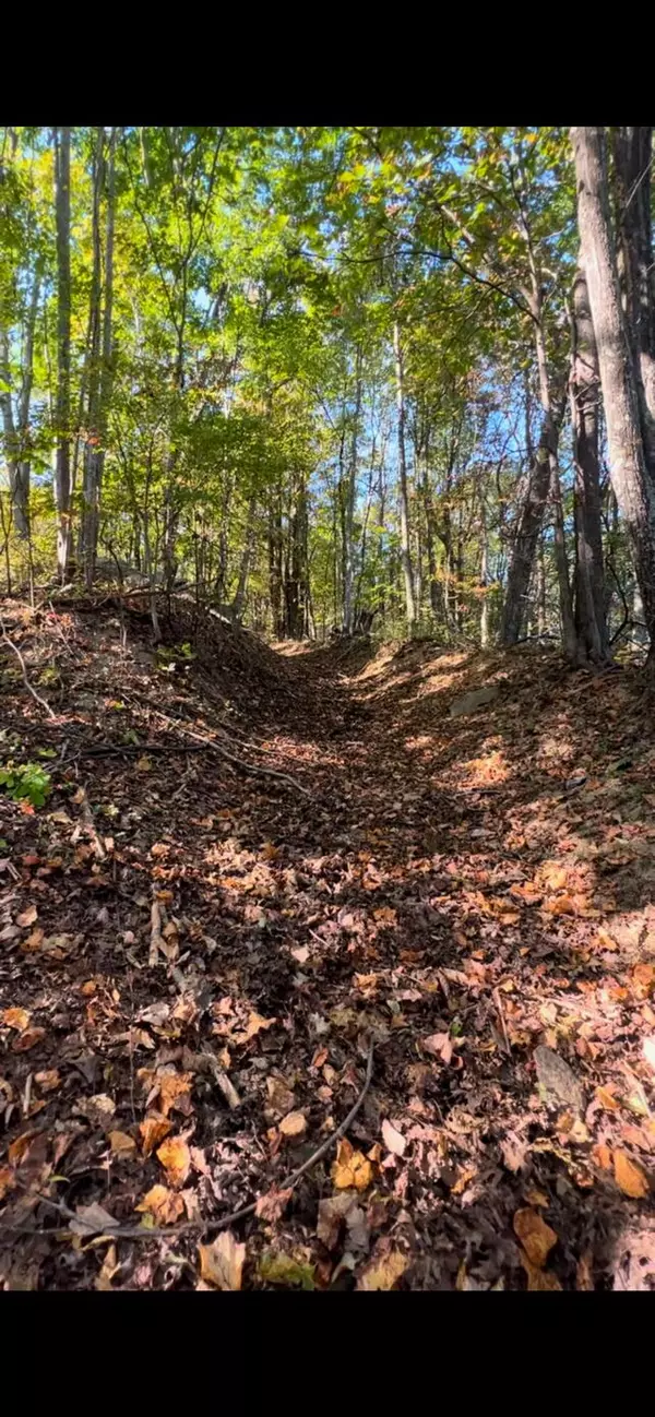 Thaxton, VA 24174,4061 Taylor Mountain RD