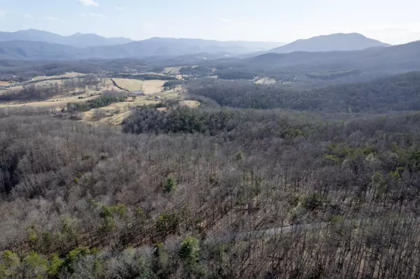 Buchanan, VA 24066,000 Short Hill DR