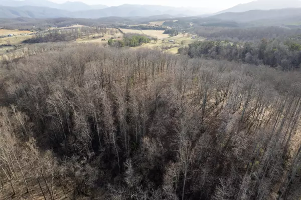 Buchanan, VA 24066,00 Short Hill DR