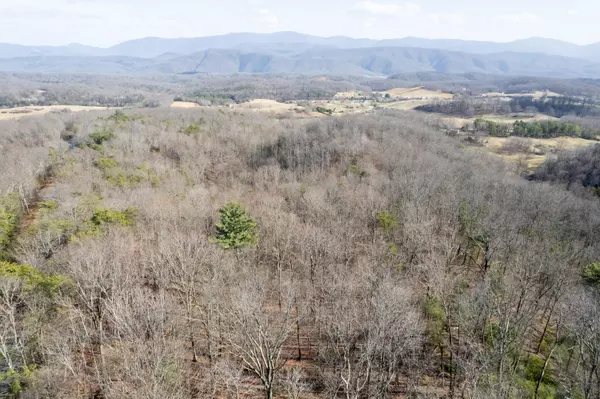 Buchanan, VA 24066,00 Short Hill DR