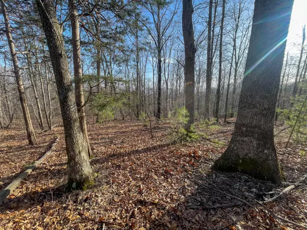 Buchanan, VA 24066,000 Short Hill DR