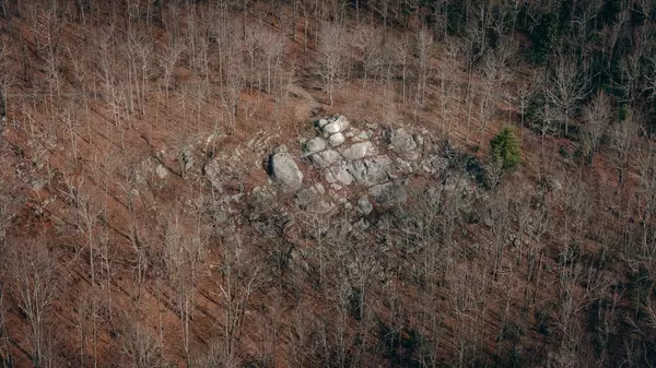 Dublin, VA 24084,0 Alum Spring RD