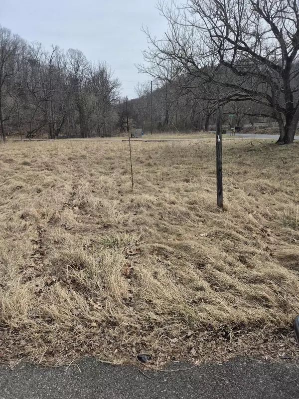 Buchanan, VA 24066,1105 Lithia RD