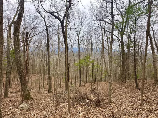0 Taylor LN, Covington, VA 24426