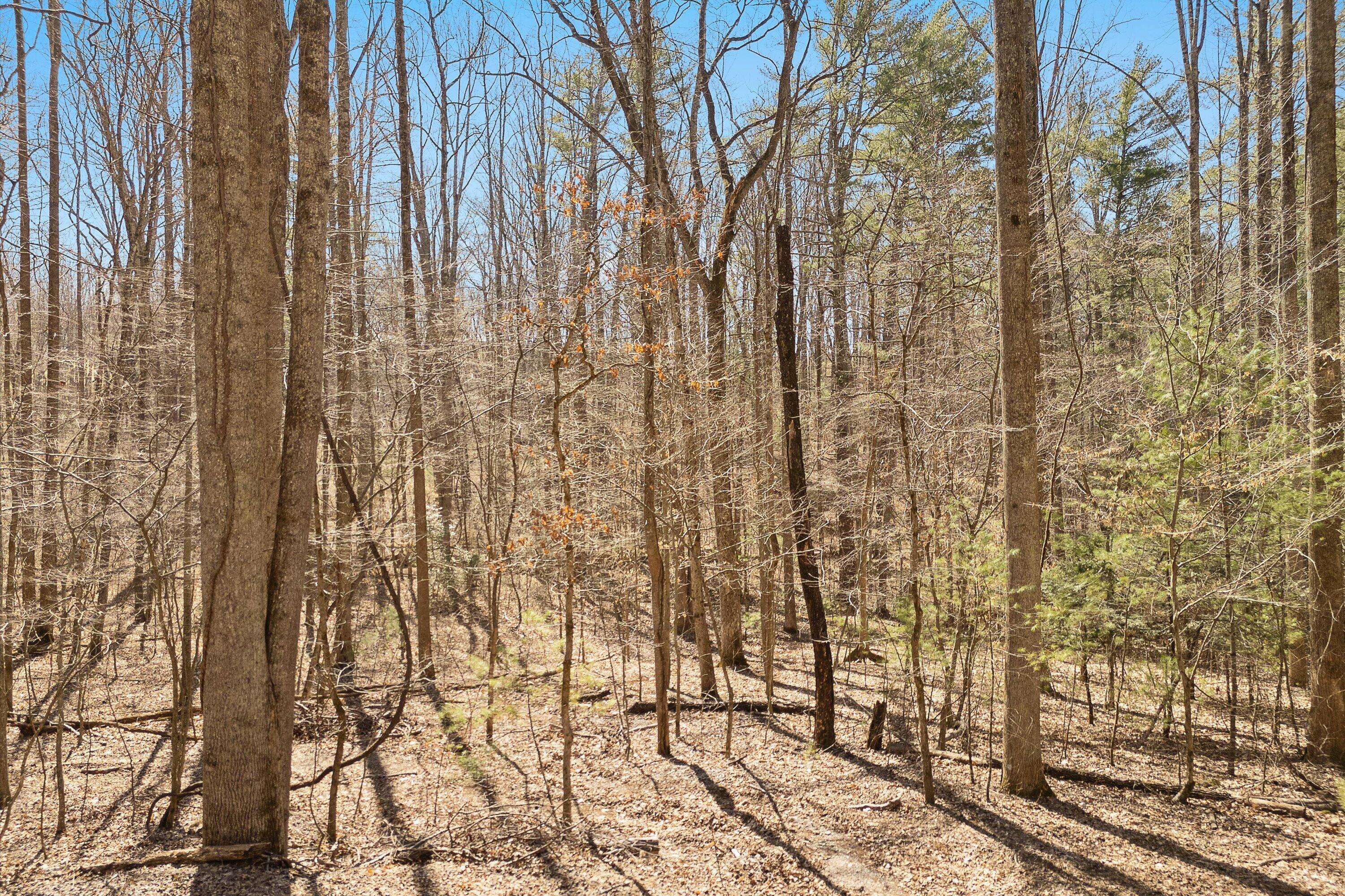 Vinton, VA 24179,Lot 2 Winding Timber LN