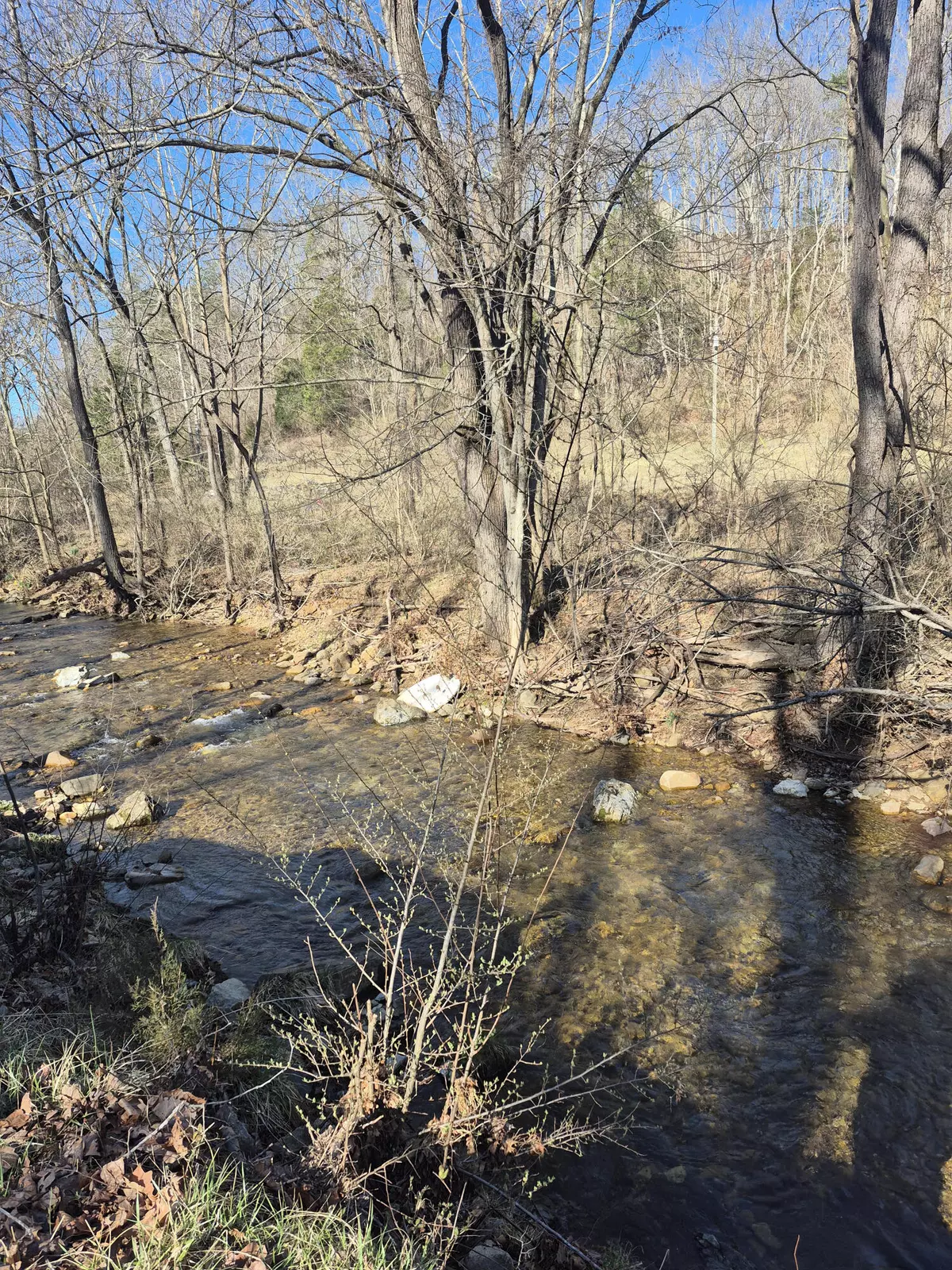 Buchanan, VA 24066,44 Walkers DR