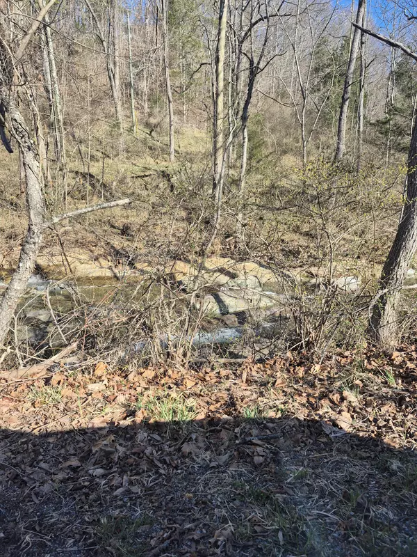 Buchanan, VA 24066,44 Walkers DR