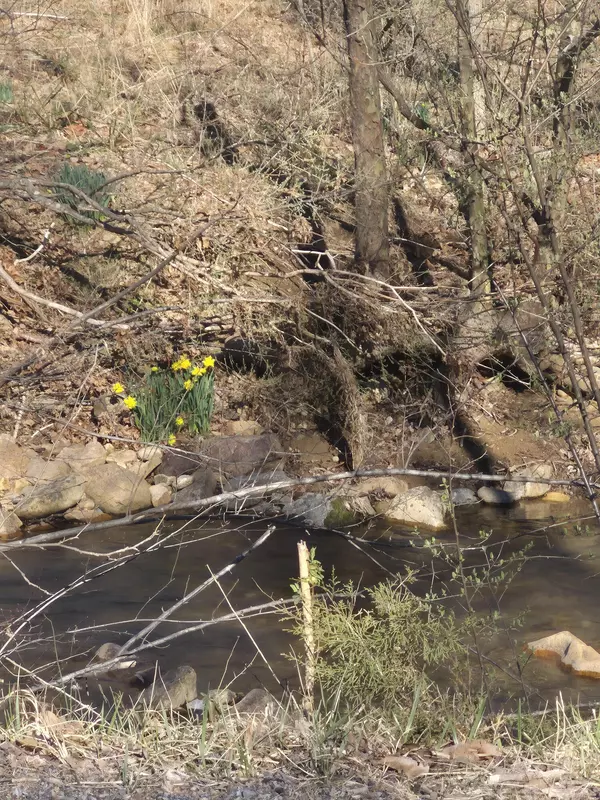 Buchanan, VA 24066,44 Walkers DR