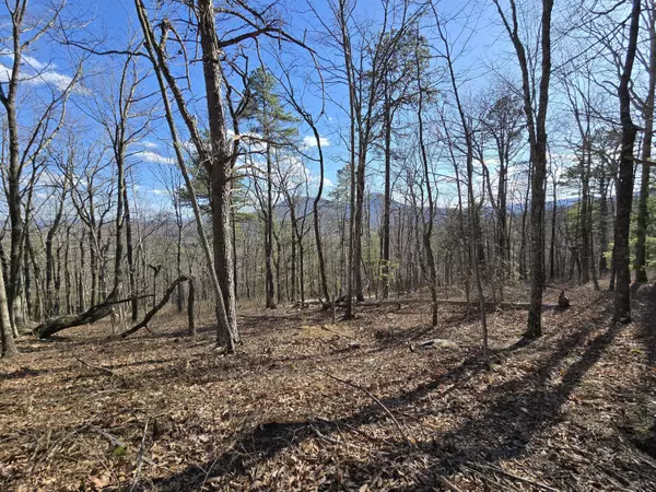 Lexington, VA 24450,Lot 14 Wenlock DR