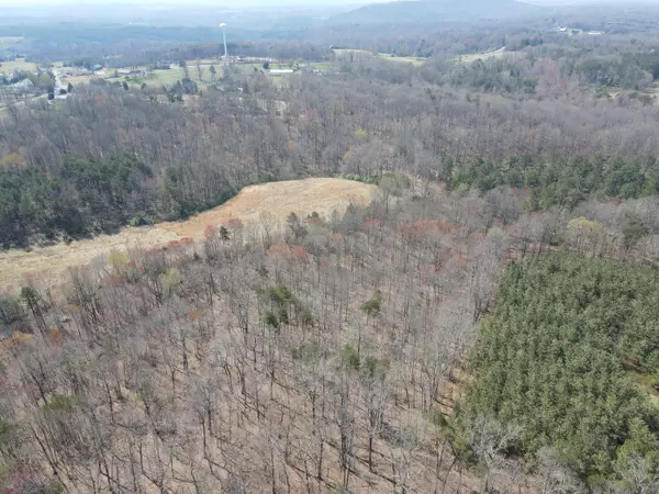 Union Hall, VA 24176,LOT 21-A&B Standiford RD