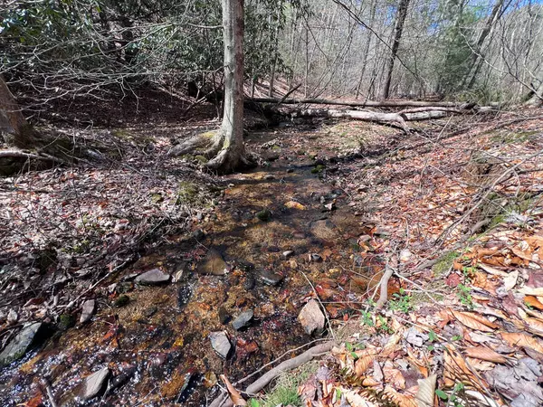 Stuart, VA 24171,0 Willard Creek LN