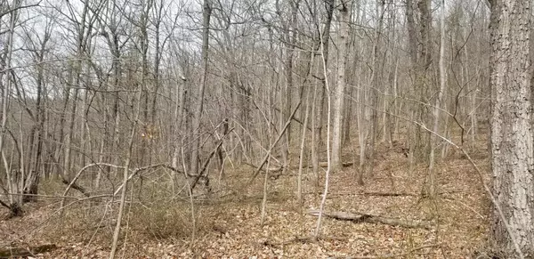 Rocky Mount, VA 24151,LOT 5 SUMMIT DR