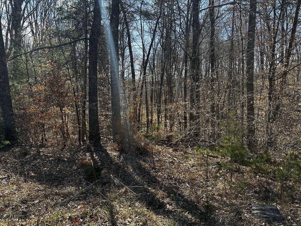 0 Bassett Heights Ext. RD, Bassett, VA 24055