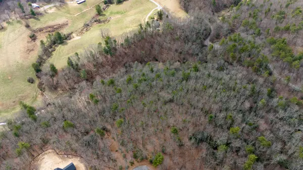 Bent Mountain, VA 24059
