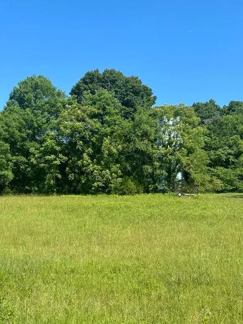 Lot 1 Virginia Ridge DR,  Hardy,  VA 24101