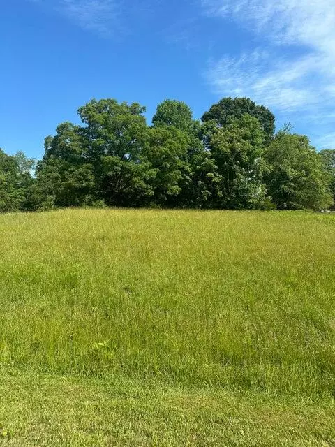 Hardy, VA 24101,Lot 2 Virginia Ridge DR