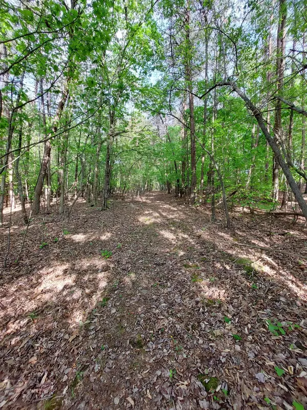 Rocky Mount, VA 24151,0 Virgil H Goode Hwy