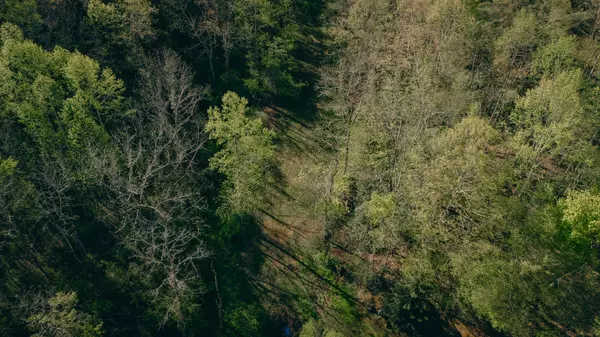 Copper Hill, VA 24079,8270 Twin Falls RD NE