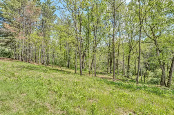 Hardy, VA 24121,Lot 51 Lakewatch CIR