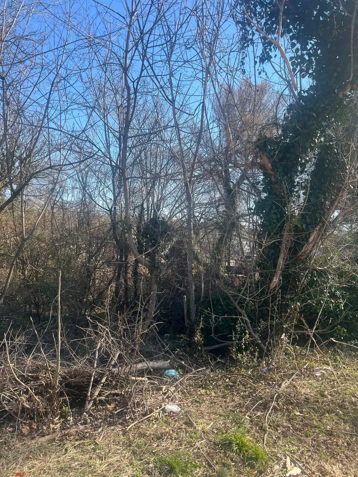 Roanoke, VA 24017,1511 Essex AVE NW