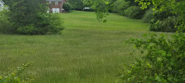 Hardy, VA 24101,Lot 8 Edwardsville RD
