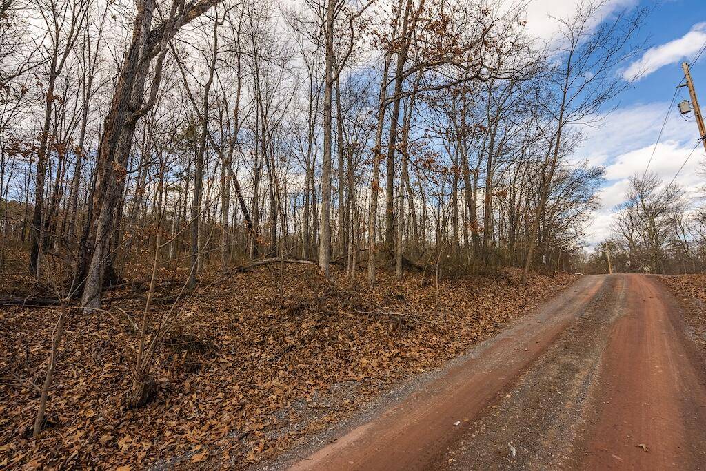 Cross Junction, VA 22625,0 New Hope RD