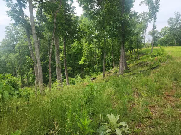 Hardy, VA 24101,69 Washburn CT