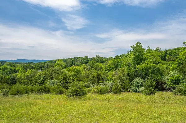 Lot 21 Meadow Grove DR, Lexington, VA 24450