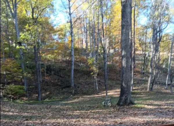 Catawba, VA 24070,7829 Bending Oak DR