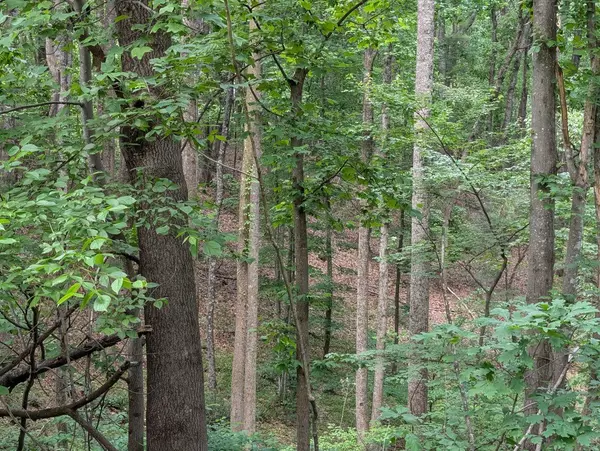 Hardy, VA 24101,0 Bousman CIR