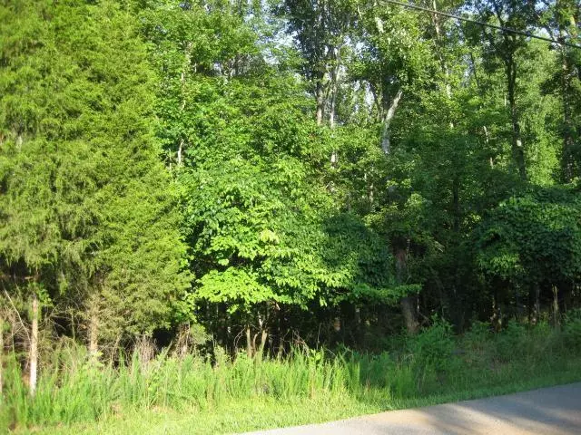 Hardy, VA 24101,Lot 32 Old Mill DR