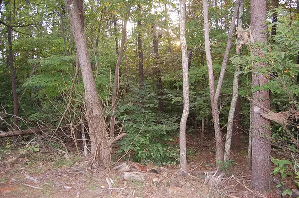 Moneta,  VA 24121