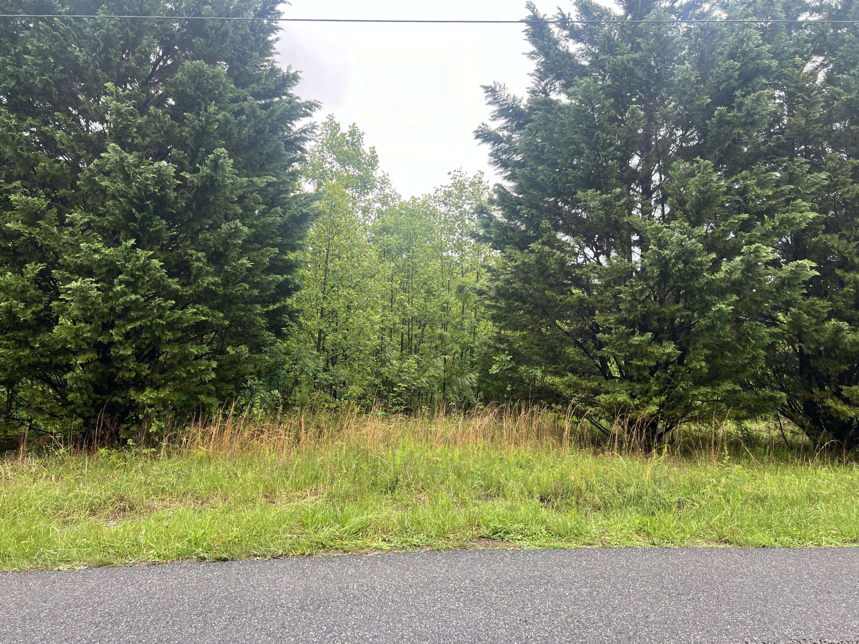 0 Nemmo RD, Vinton, VA 24179