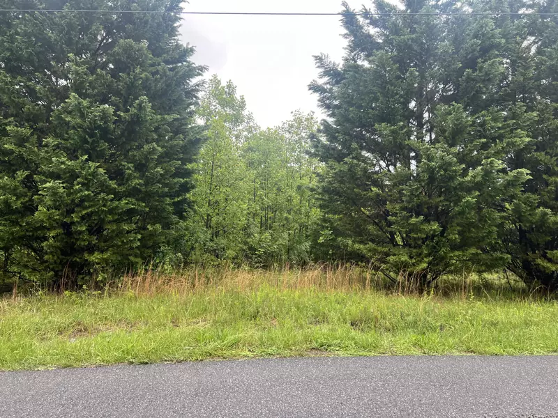 0 Nemmo RD, Vinton, VA 24179