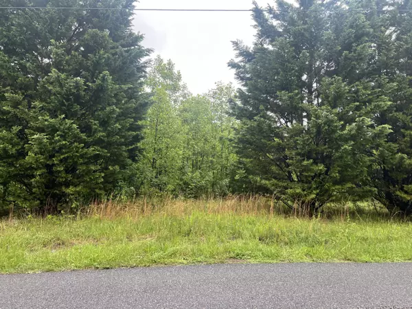 Vinton, VA 24179,0 Nemmo RD