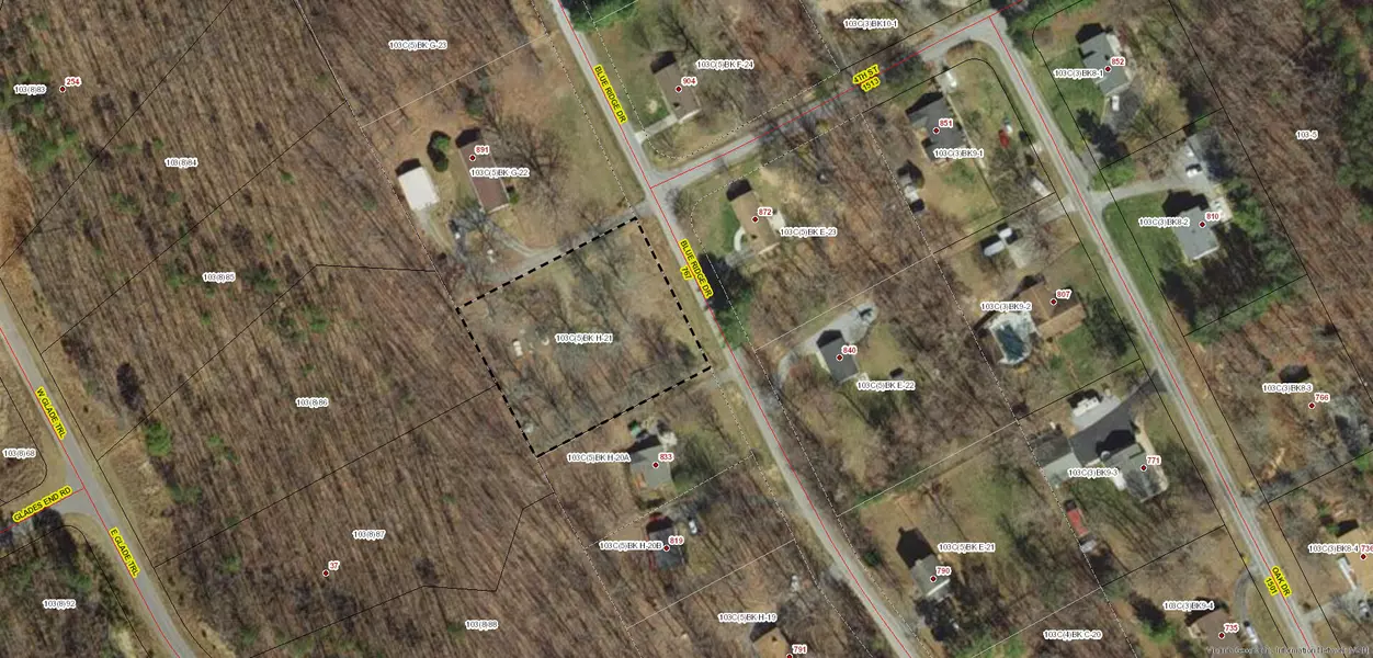 0 Blue Ridge DR, Blue Ridge, VA 24064