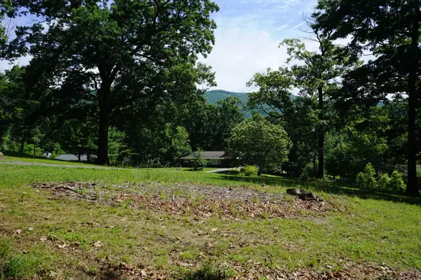 Blue Ridge, VA 24064,0 Blue Ridge DR